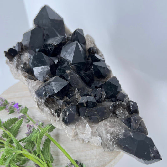 Crystal Spotlight // Smoky Quartz