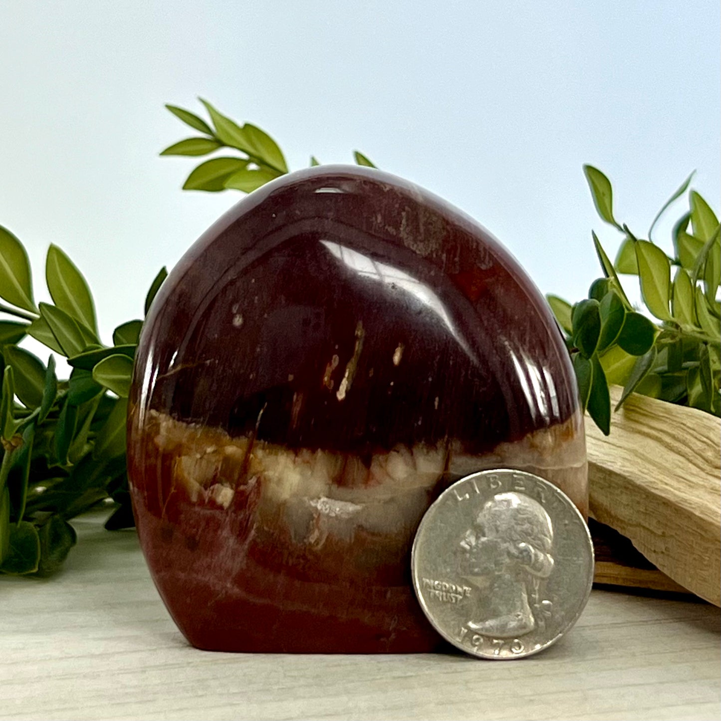 Petrified Wood // Free Form