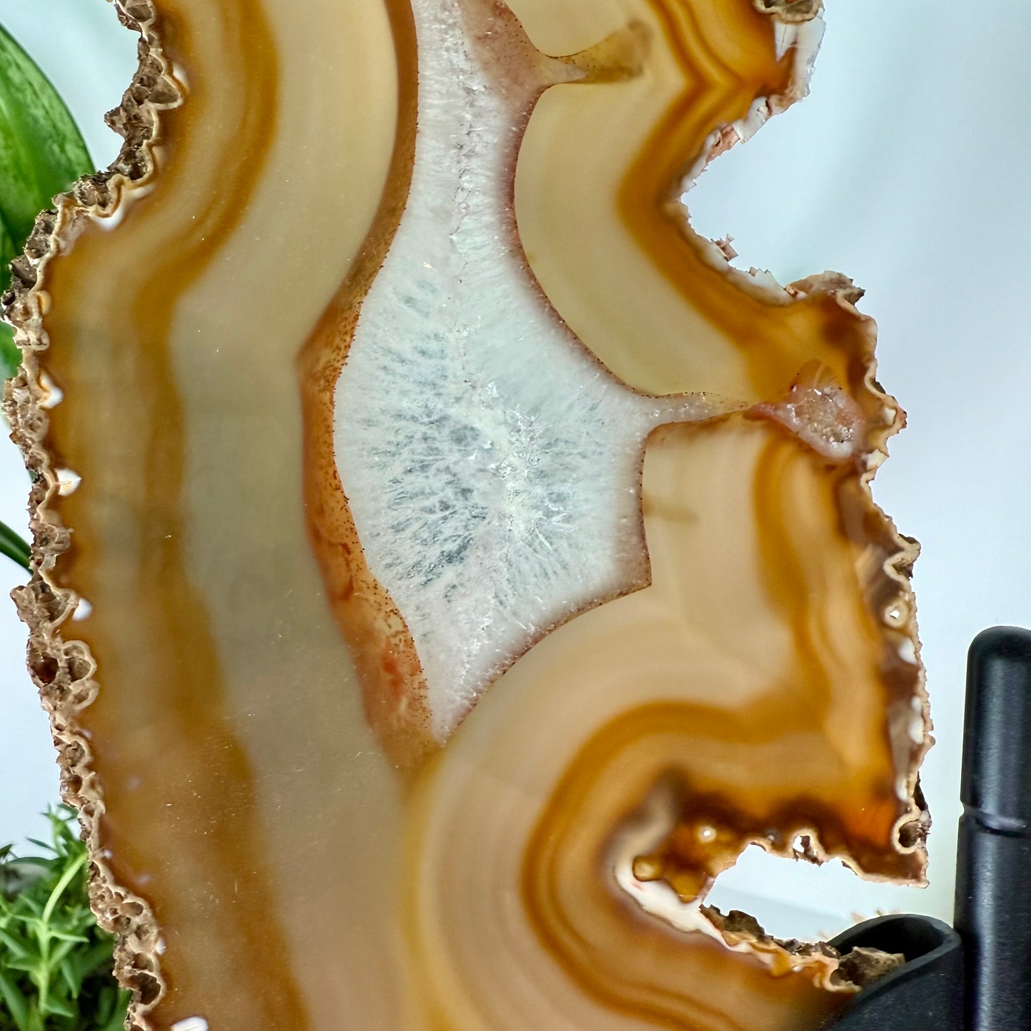 Agate // Butterfly