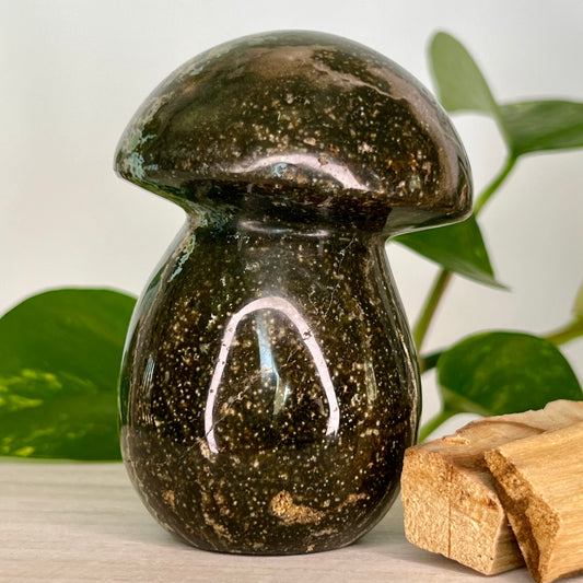 Jasper// Ocean // Mushroom