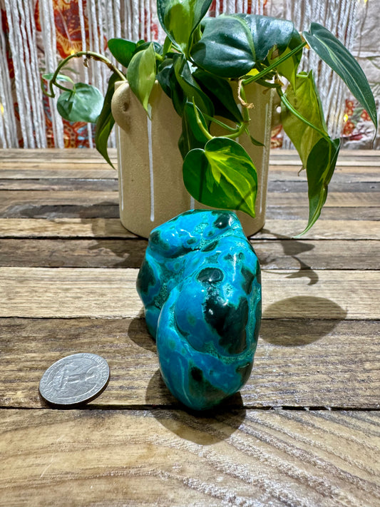 Malacholla // Free Form - SolRising The Rock Shop