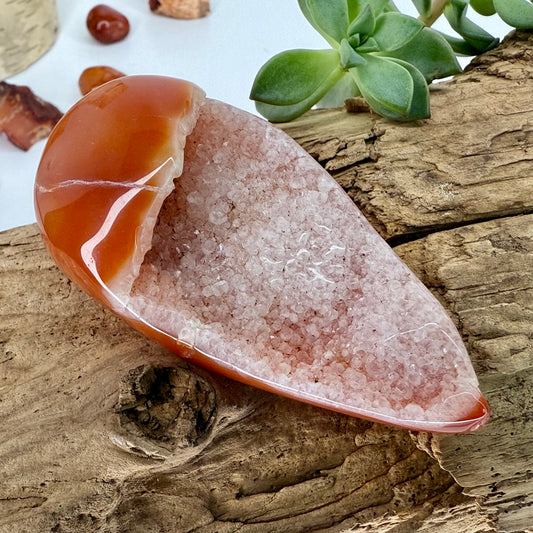Carnelian // Druzy // Eggs