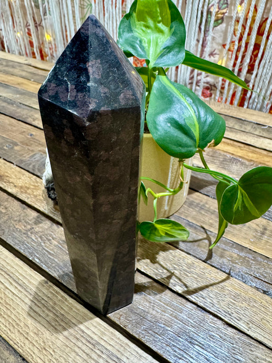 Garnet in Tourmaline // Tower