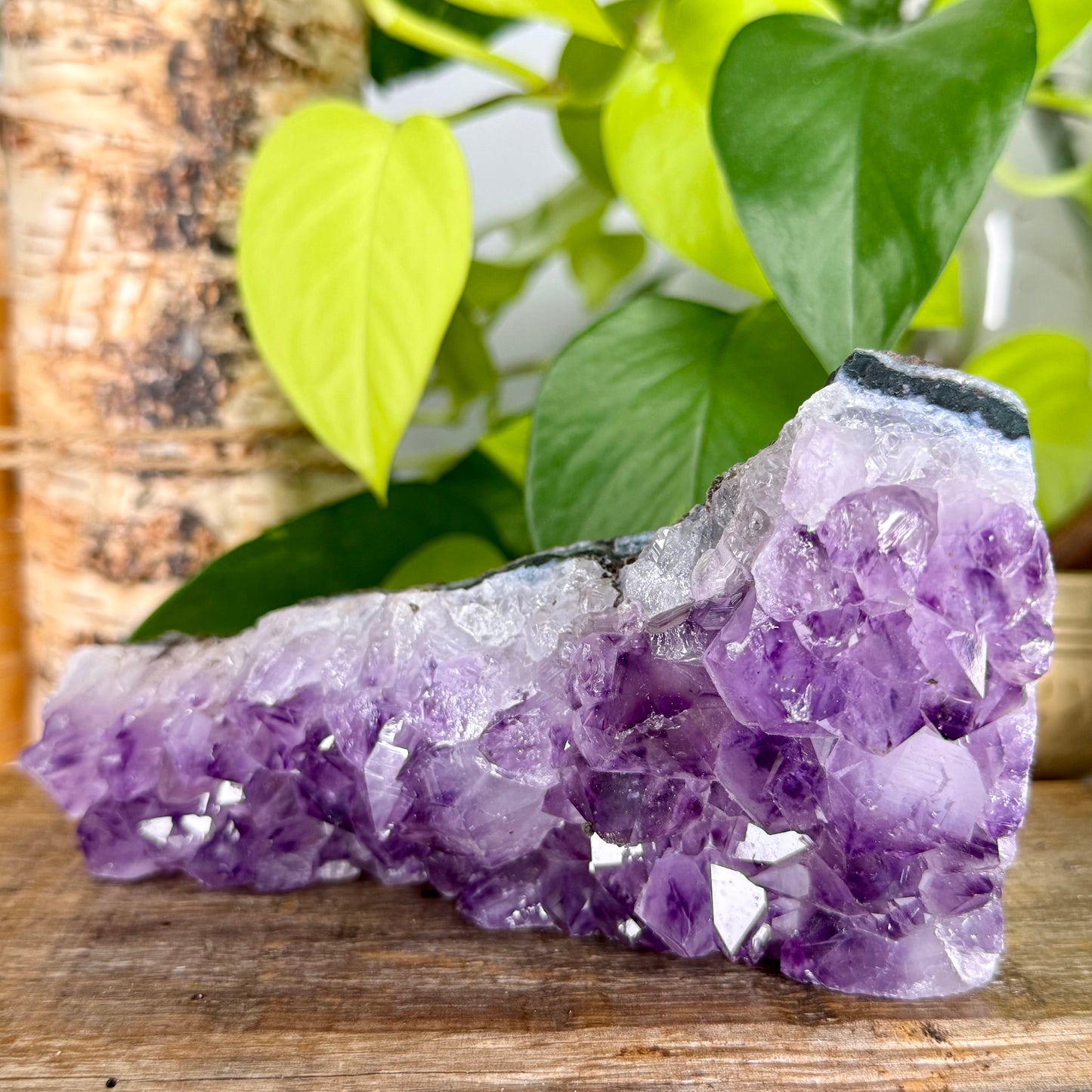 Amethyst // Cluster