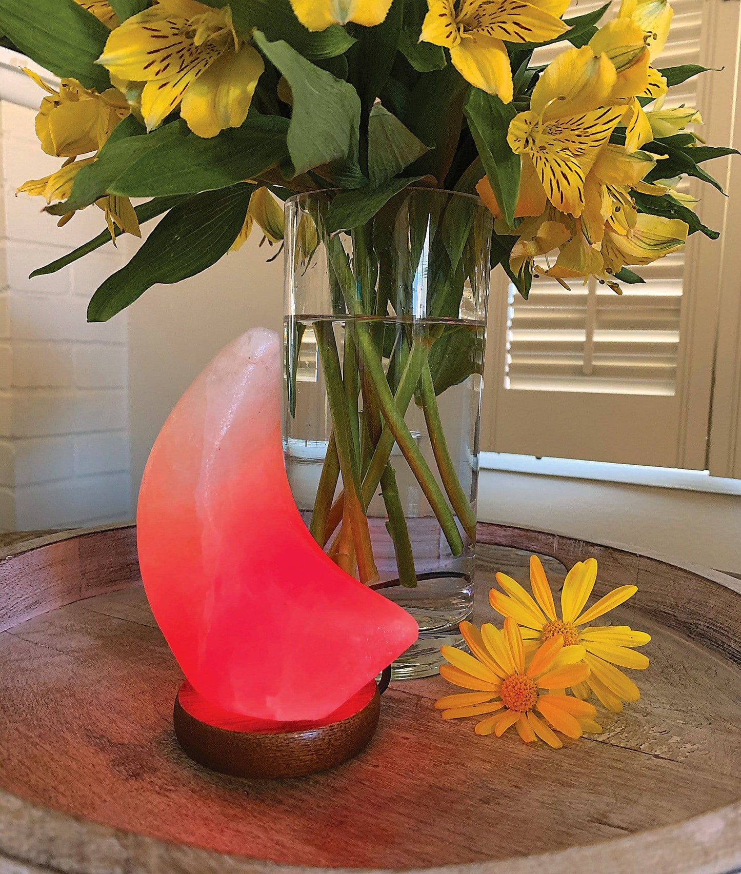 Crystal Himalayan Salt Lamp Moon Light Polished Stone: White Moon - SolRising The Rock Shop