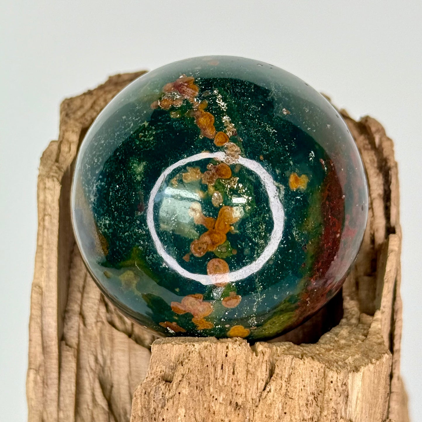 Jasper// Ocean // Mushroom