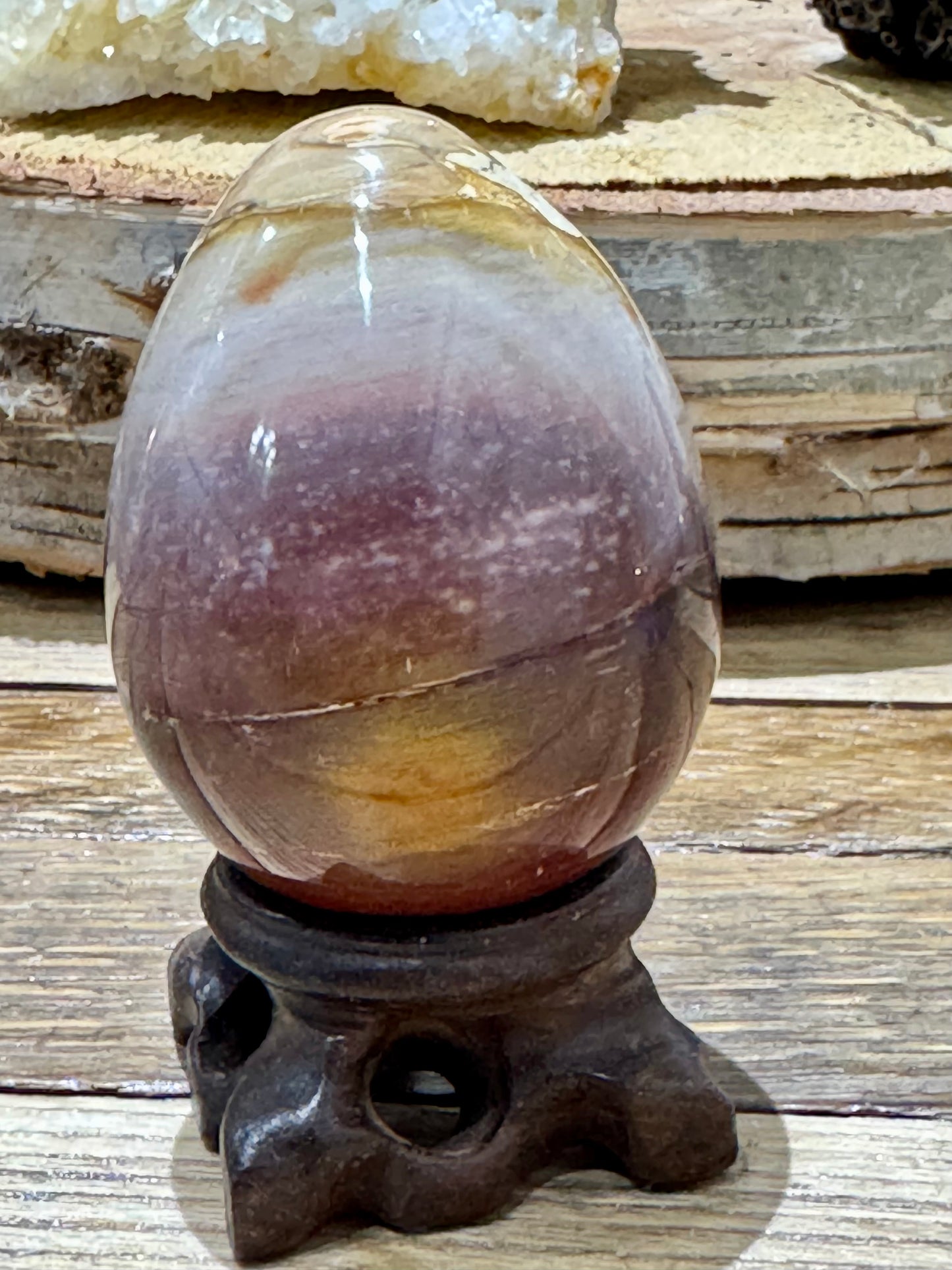 Petrified Wood // Egg