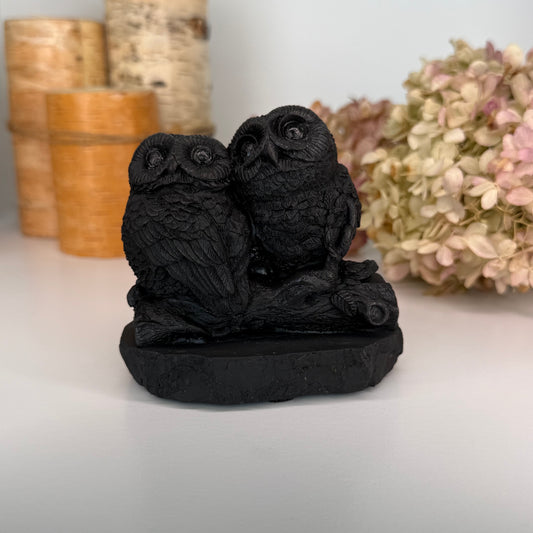 Shungite // Owl Pair