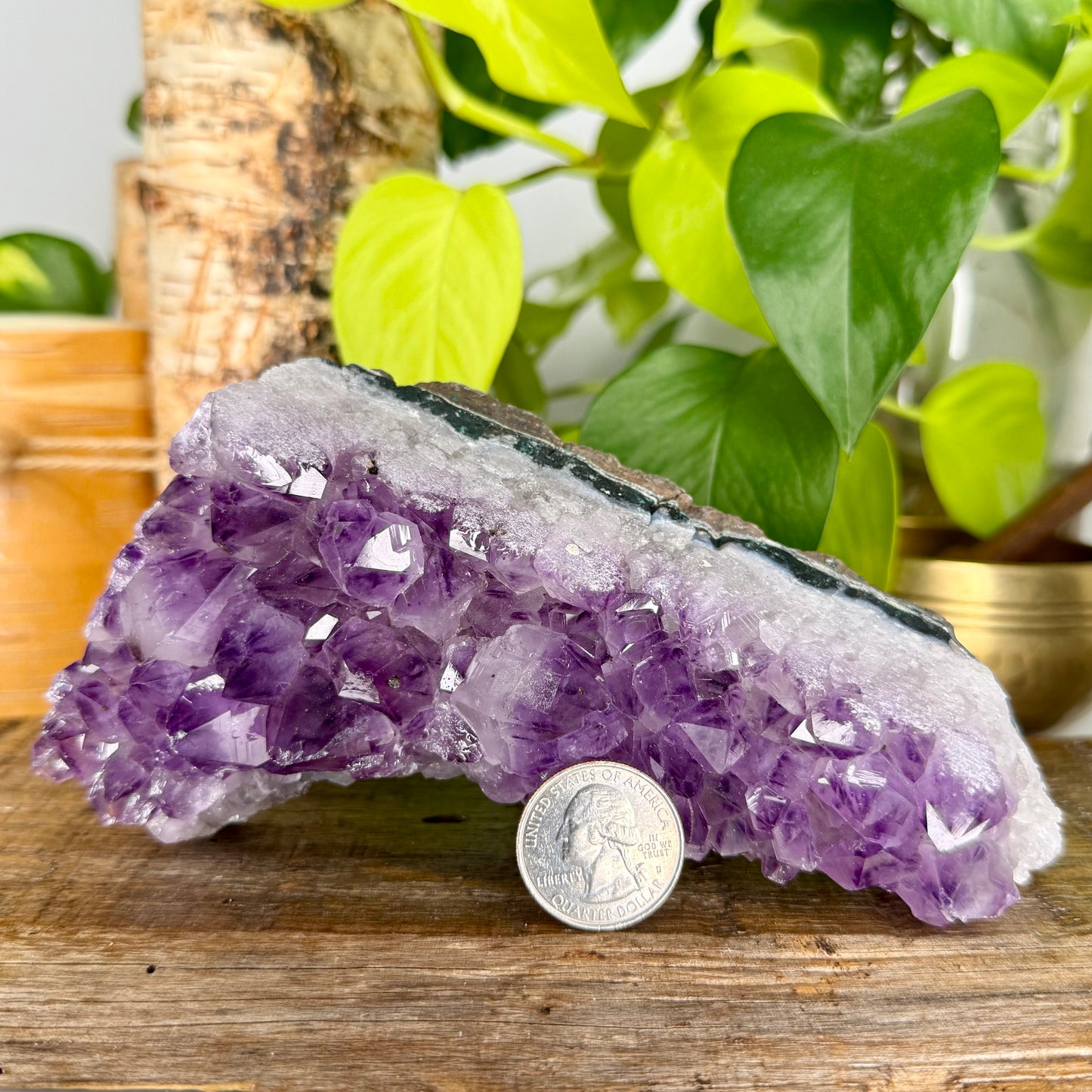 Amethyst // Cluster