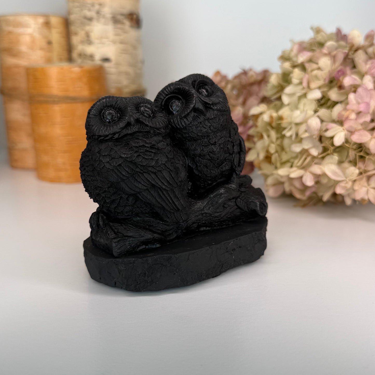 Shungite // Owl Pair