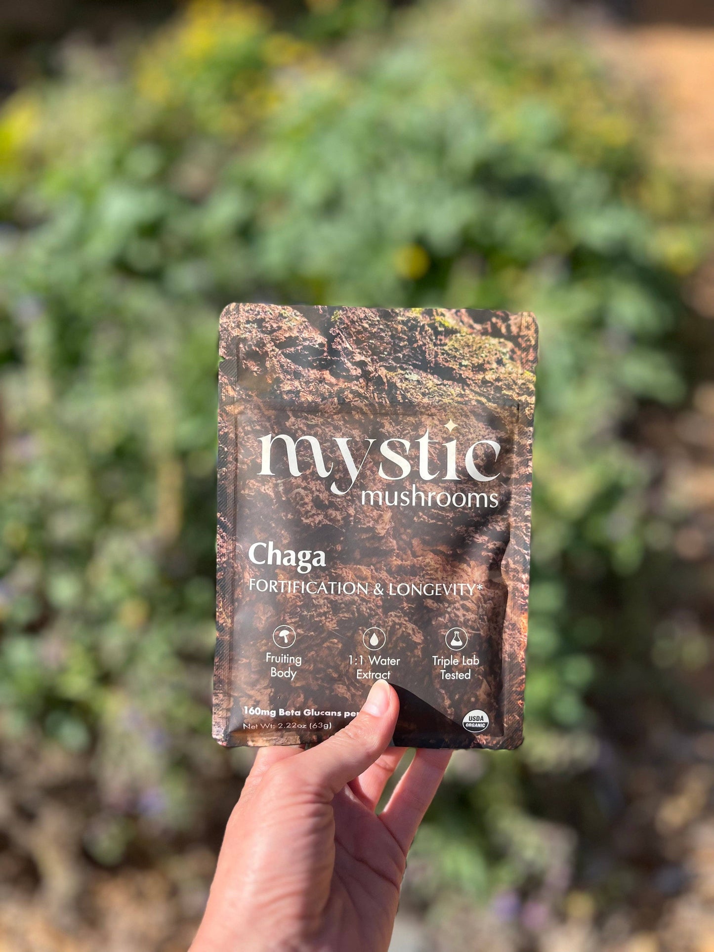 Chaga // Fruiting Body // 1:1 Water Extracted // Organic