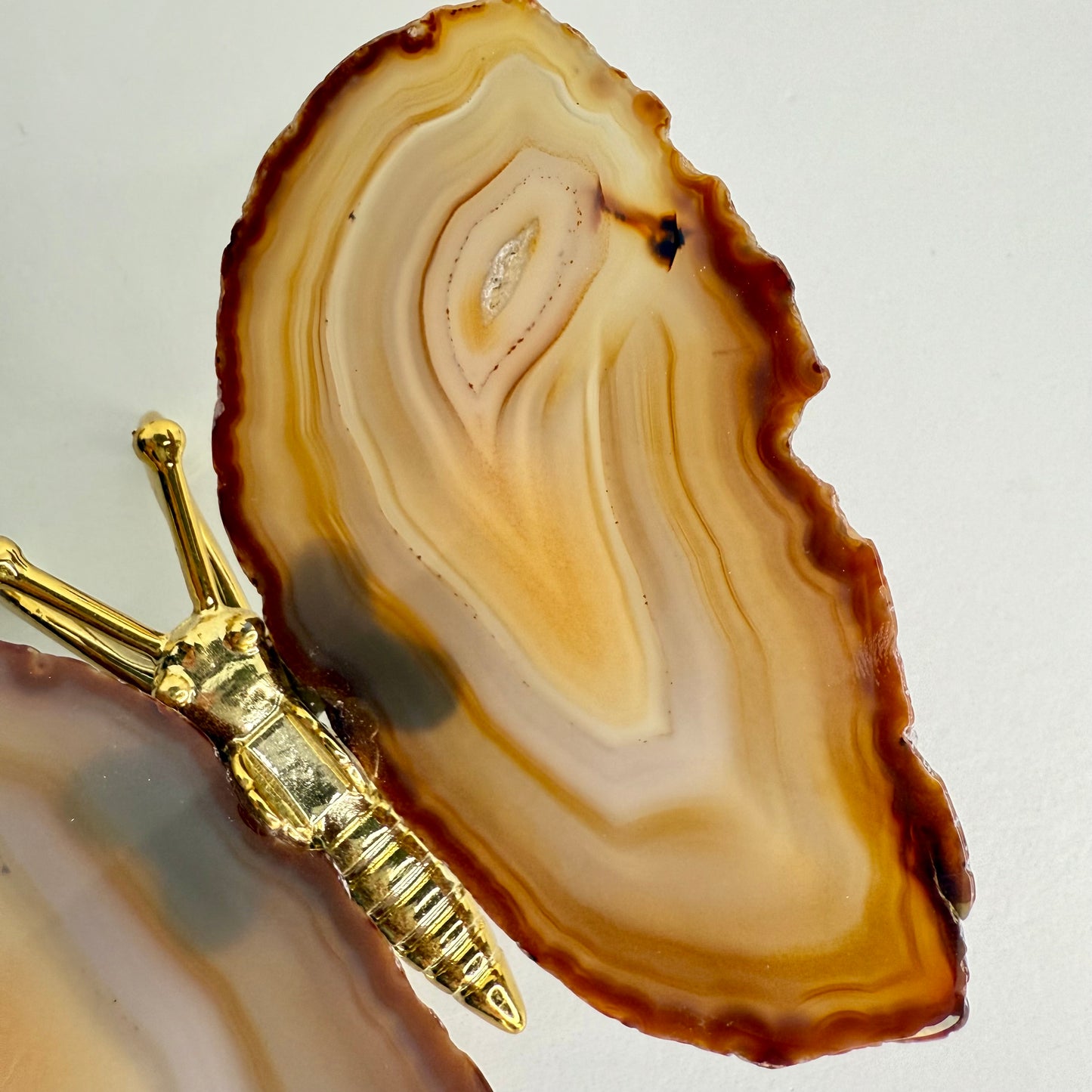 Agate // Butterfly