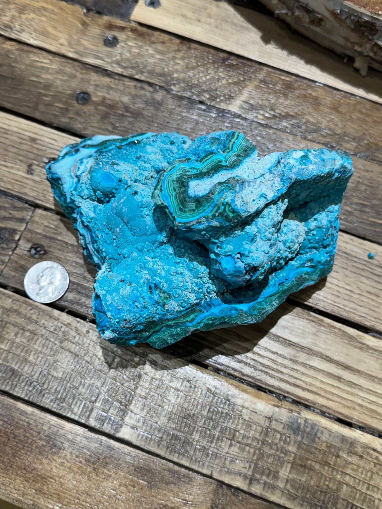Malacholla // Mineral Specimen // Rough