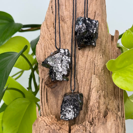 Shungite // Elite Noble // Pendant