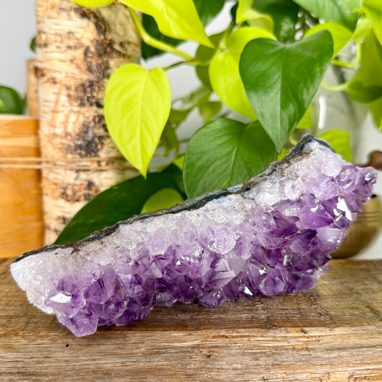 Amethyst // Cluster