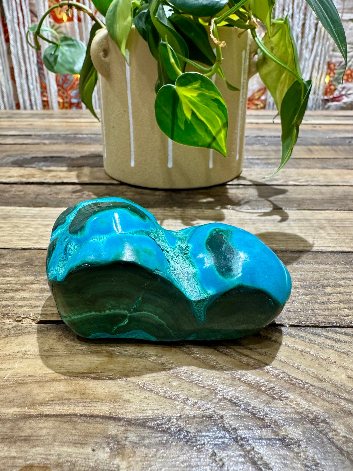 Malacholla // Free Form - SolRising The Rock Shop