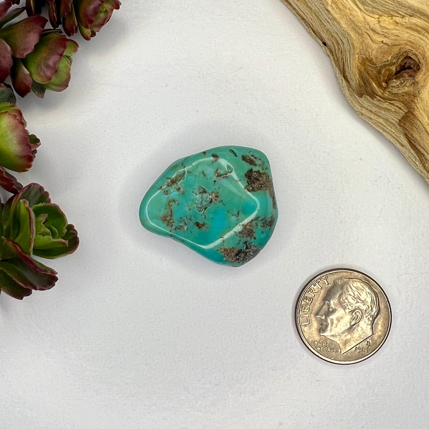 Turquoise // Polished Piece