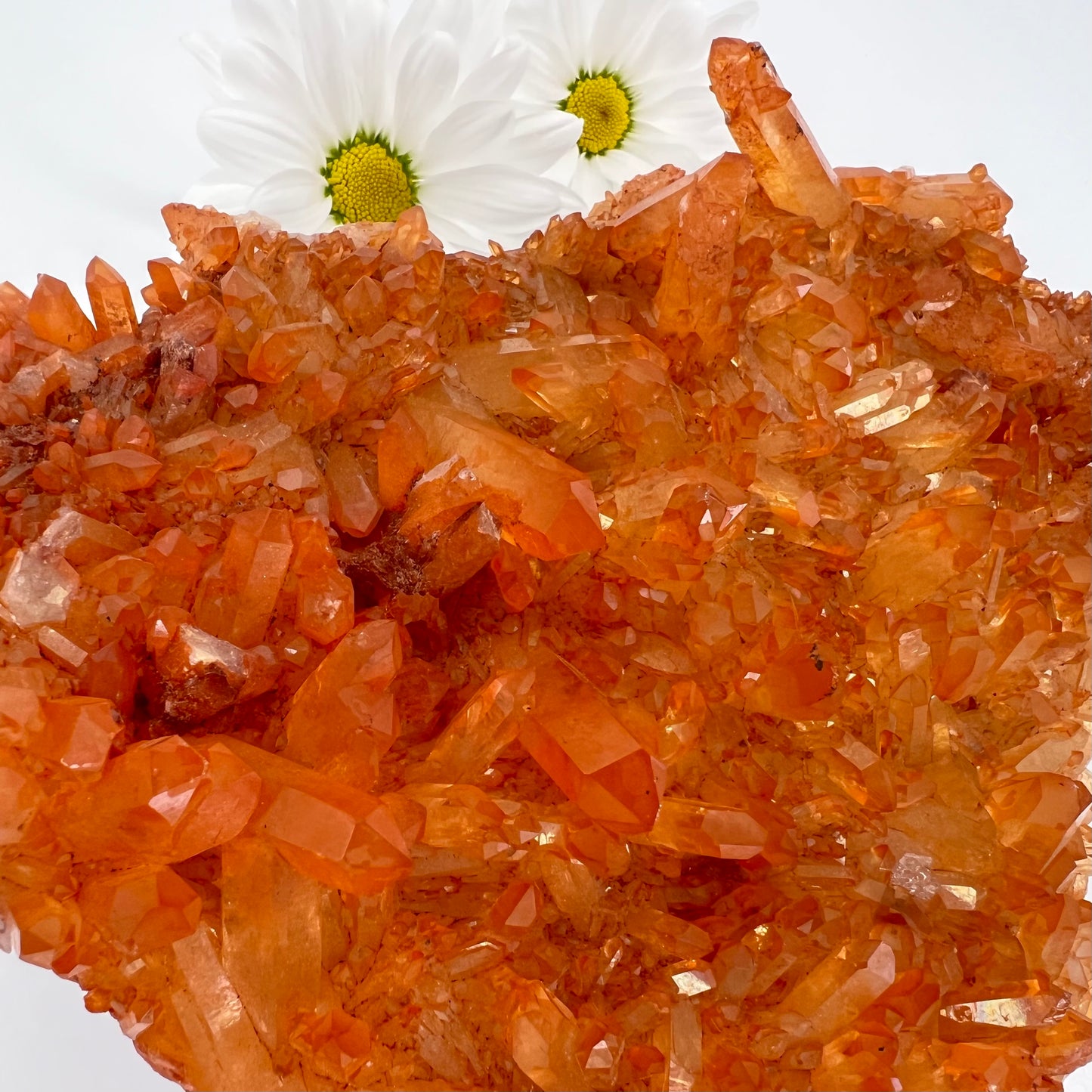 Quartz // Tangerine // Cluster