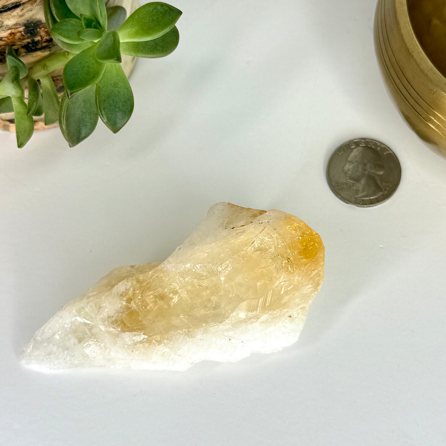 Citrine // Point