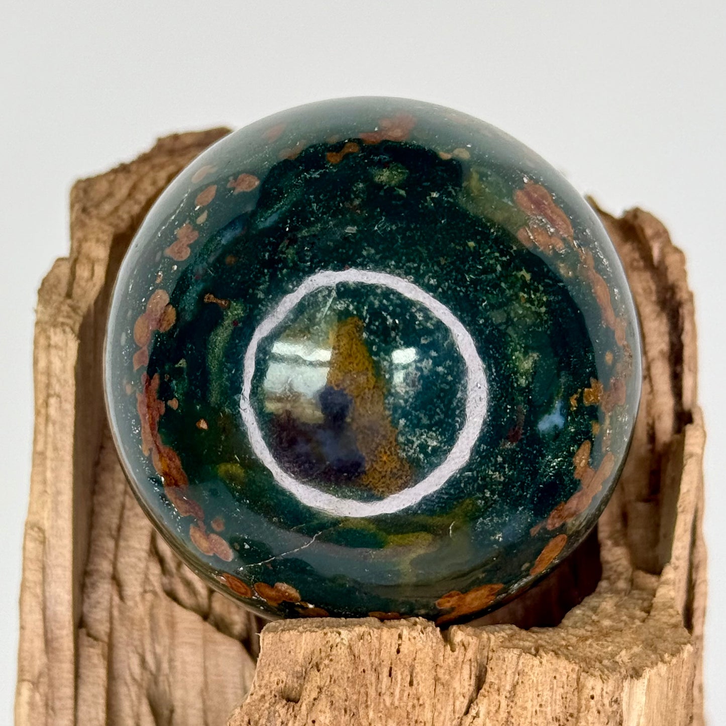 Jasper// Ocean // Mushroom