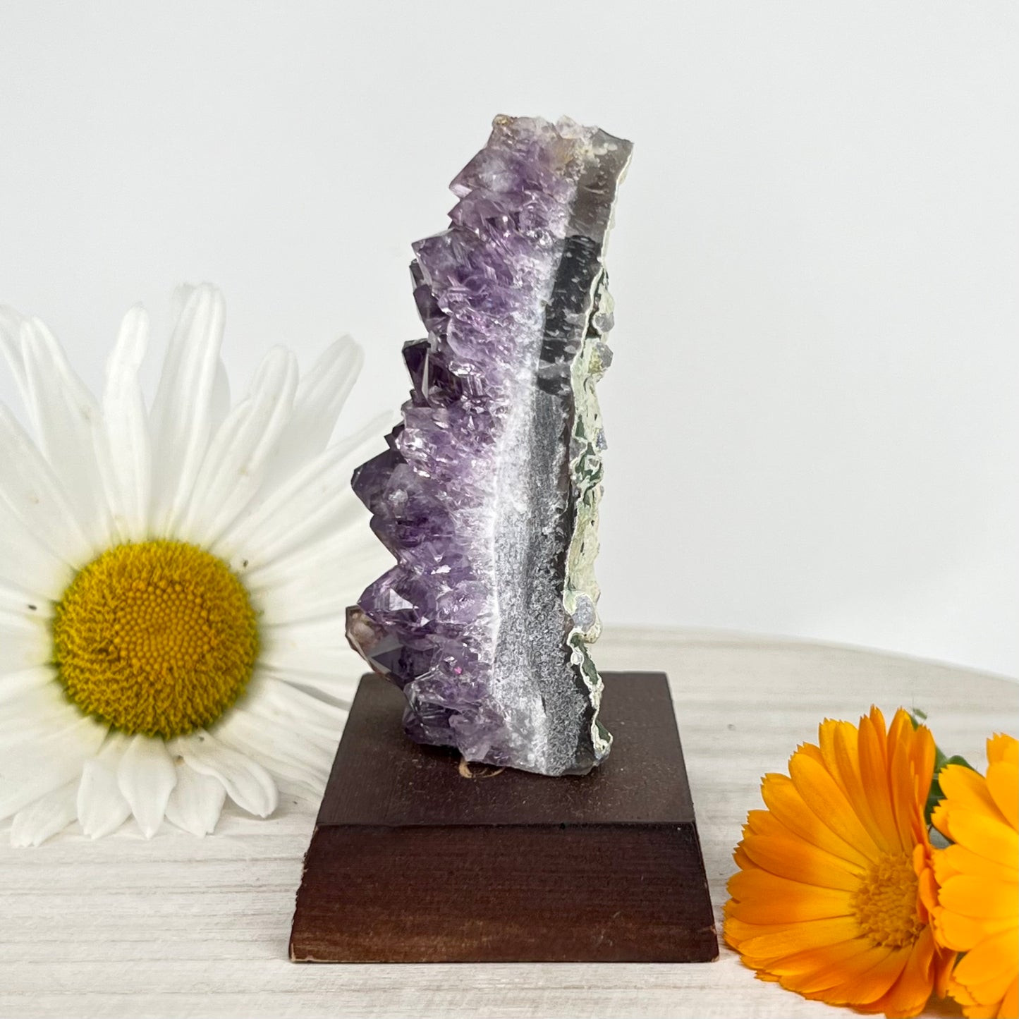 Amethyst // Cluster // Wood Base