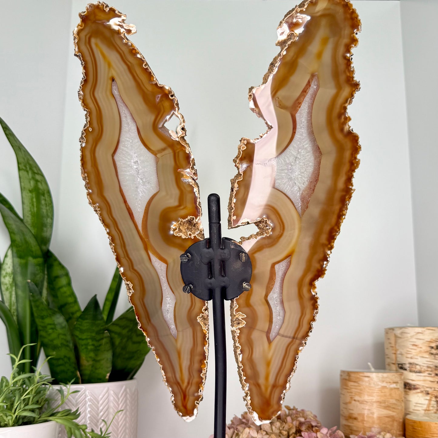 Agate // Butterfly