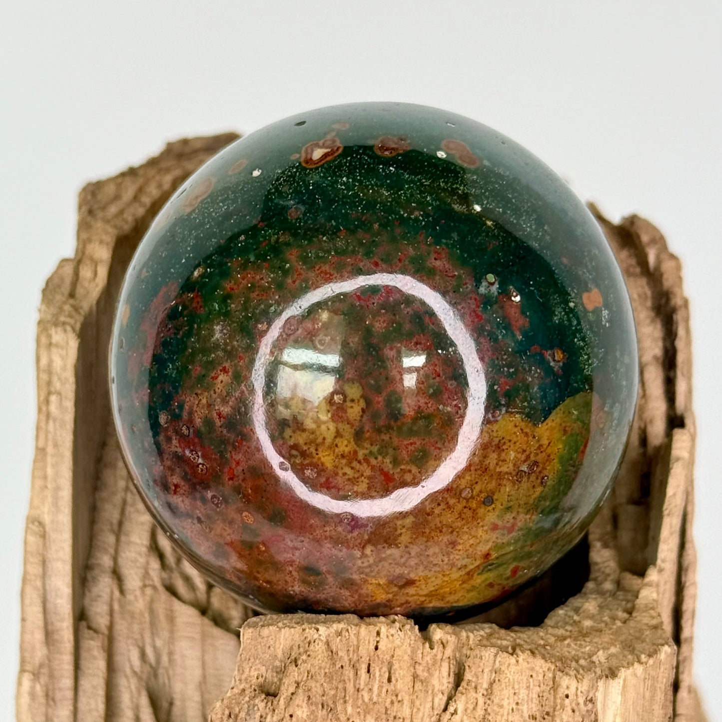 Jasper// Ocean // Mushroom