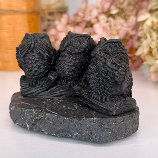 Shungite // Owl // See, Hear, Speak No Evil