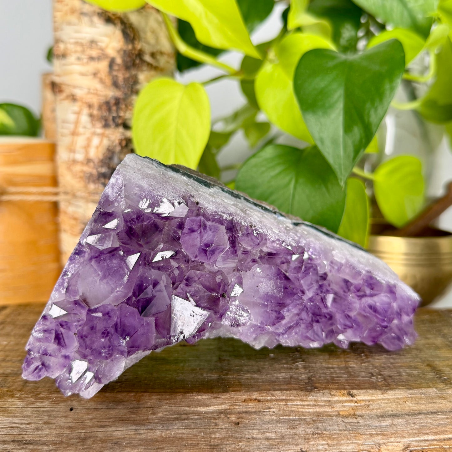 Amethyst // Cluster