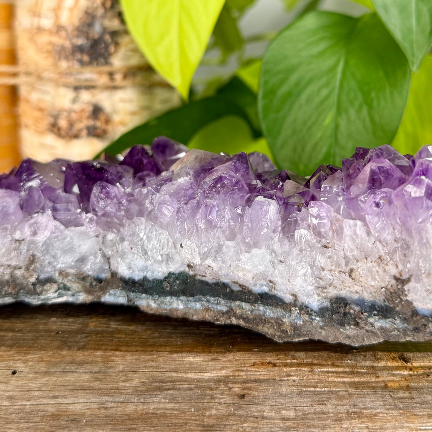 Amethyst // Cluster