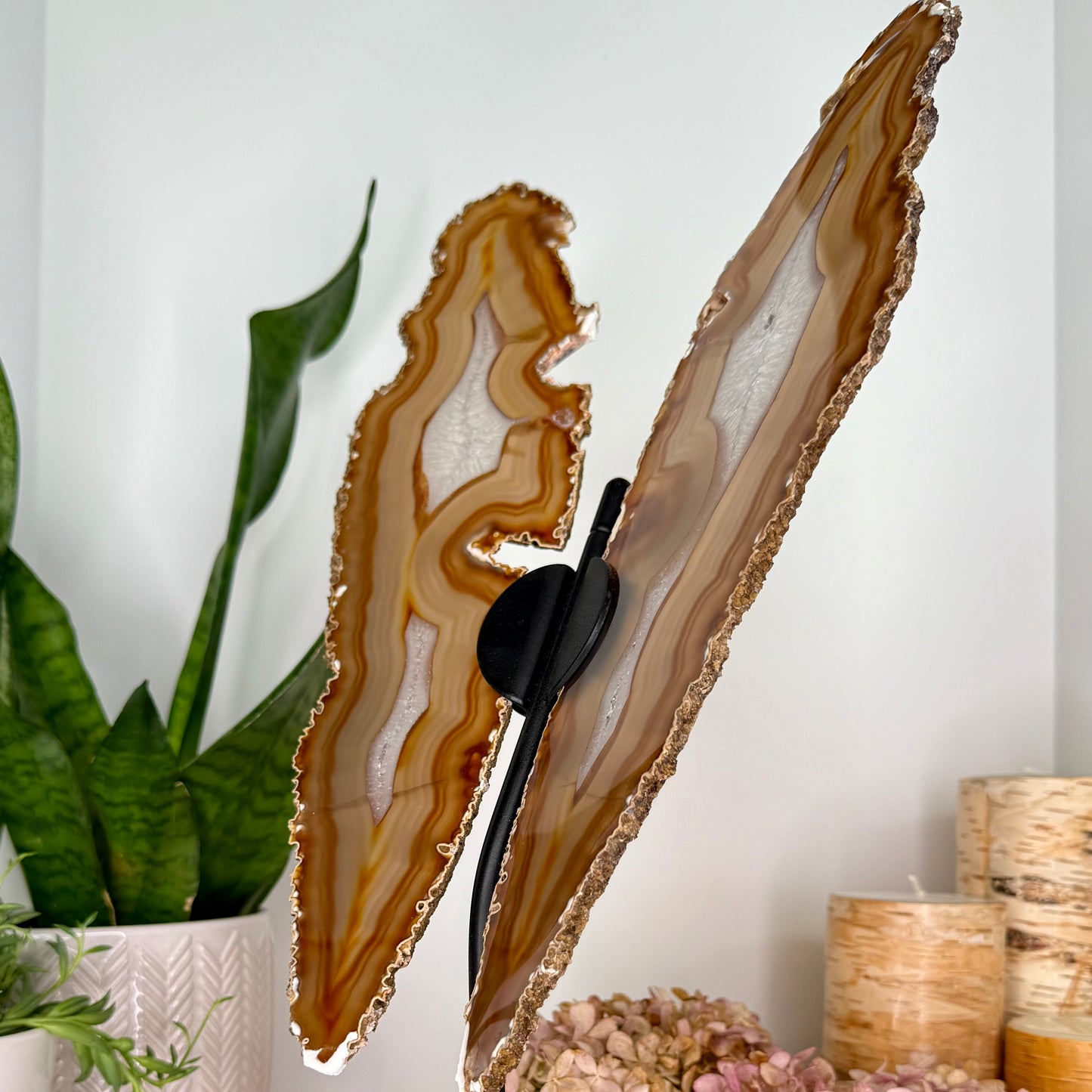 Agate // Butterfly