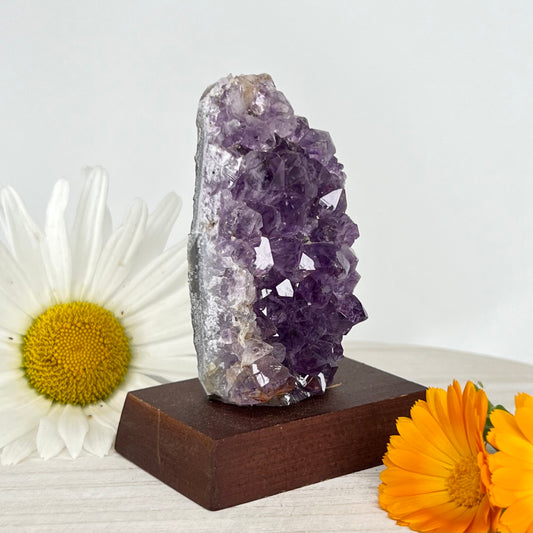 Amethyst // Cluster // Wood Base