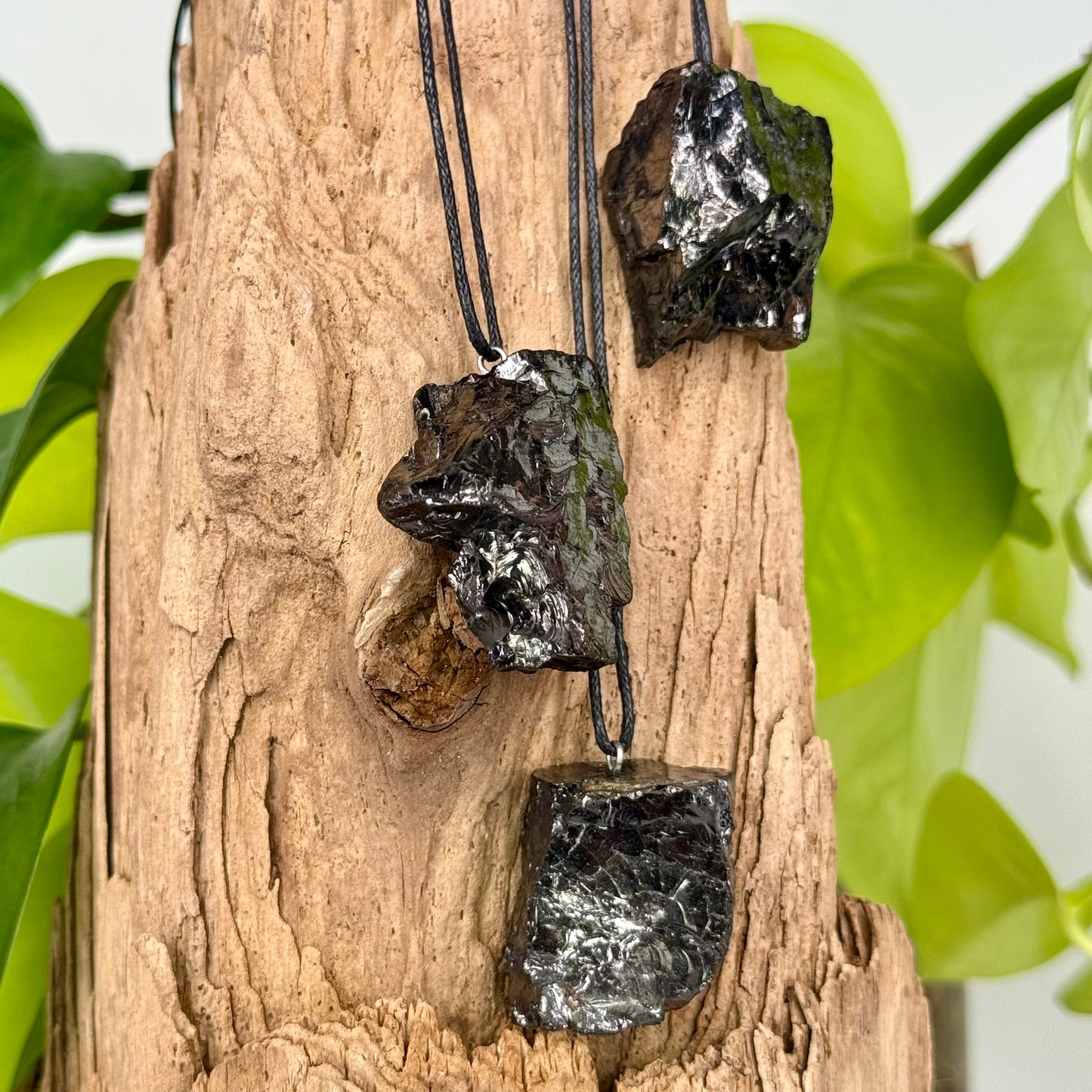 Shungite // Elite Noble // Pendant