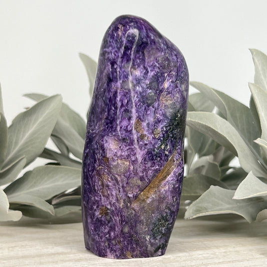 Charoite // Standing Free Forms