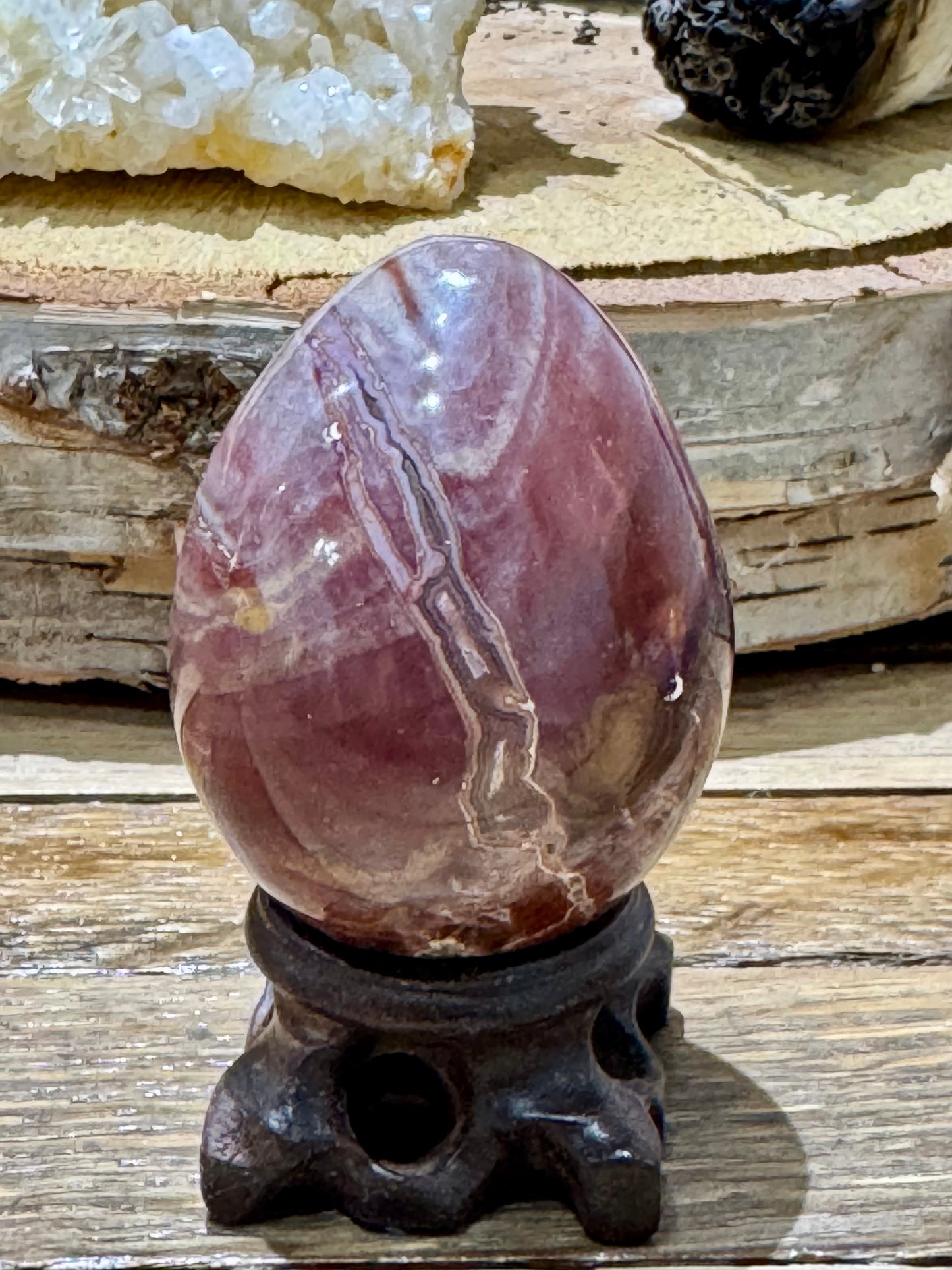 Petrified Wood // Egg