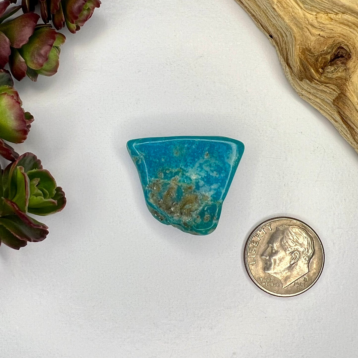 Turquoise // Polished Piece