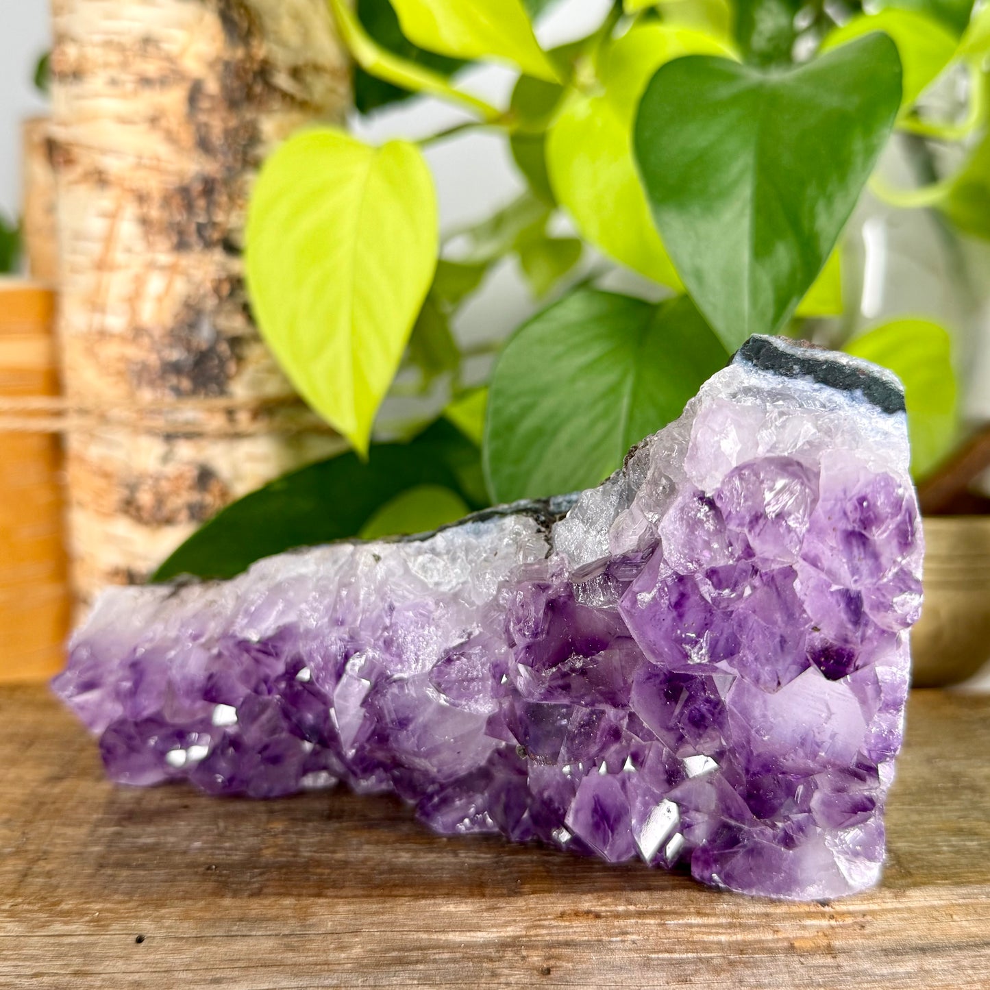 Amethyst // Cluster