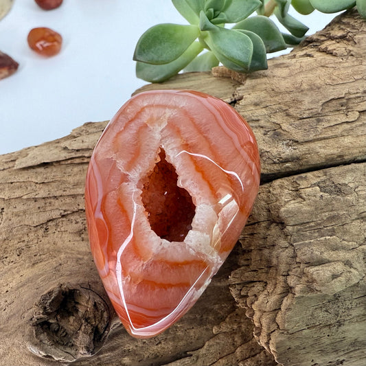 Carnelian // Druzy // Eggs