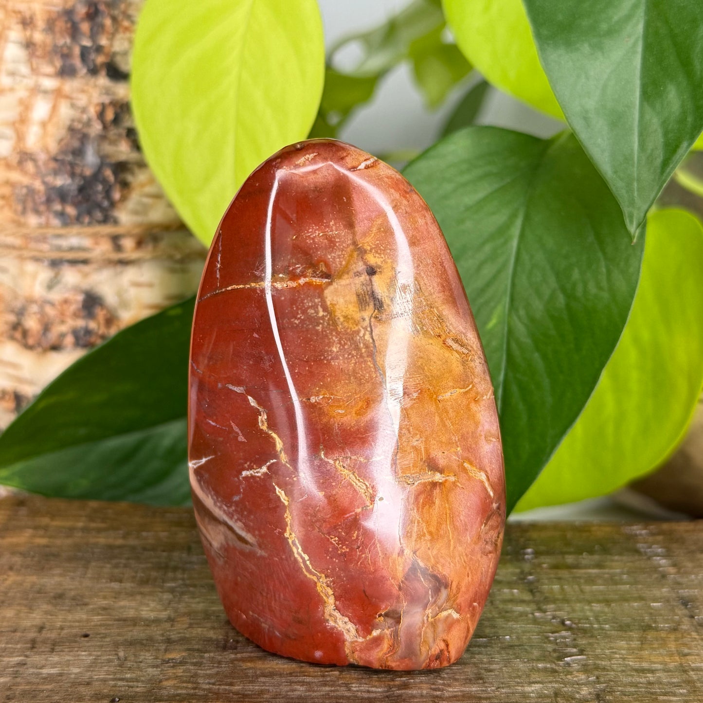 Petrified Wood // Free Form