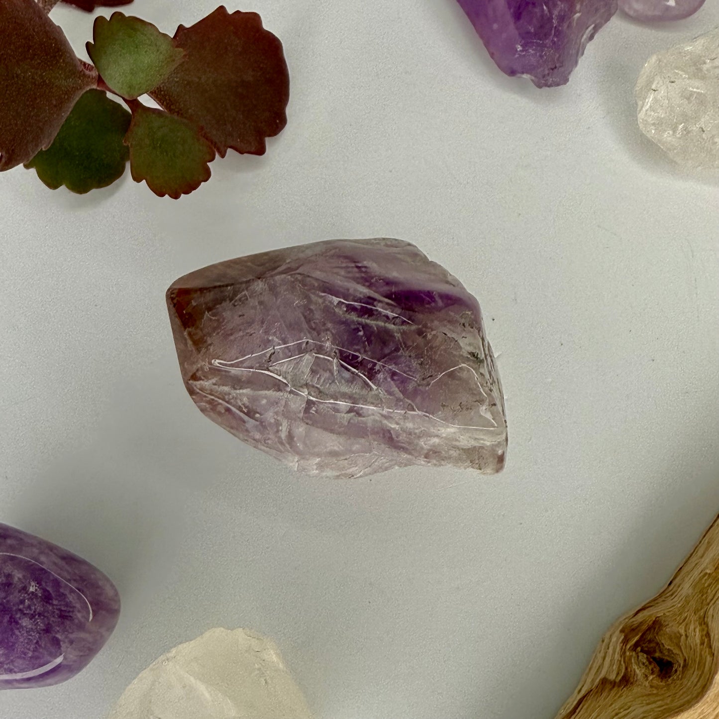 Red Cap // Amethyst // Polished // Points