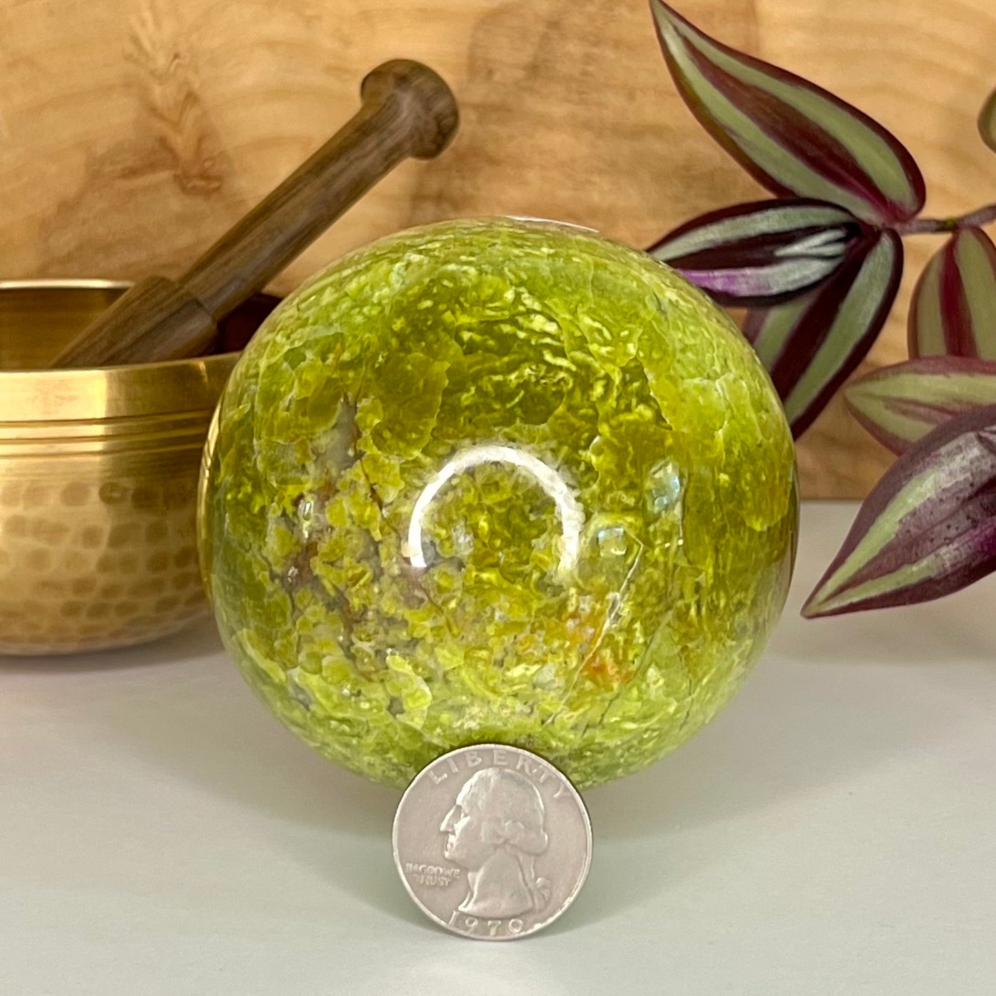 Opal // Green // Free Form