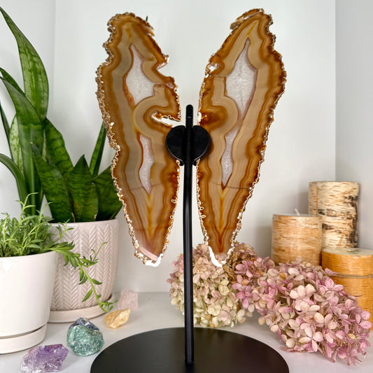 Agate // Butterfly