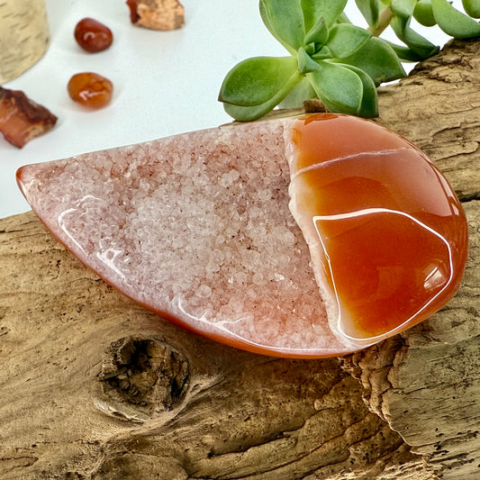 Carnelian // Druzy // Eggs