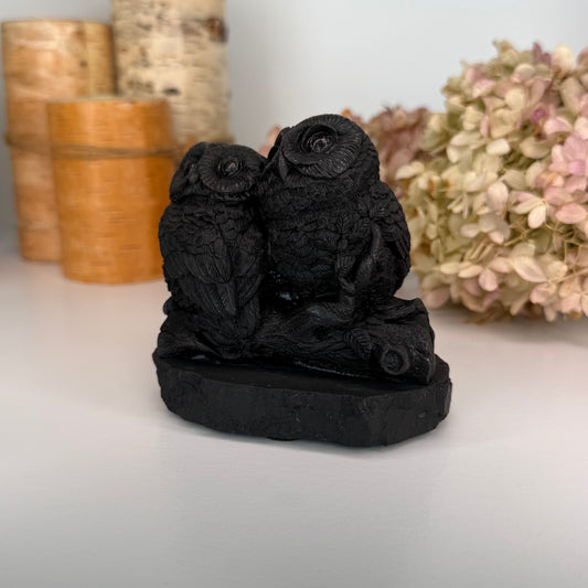 Shungite // Owl Pair