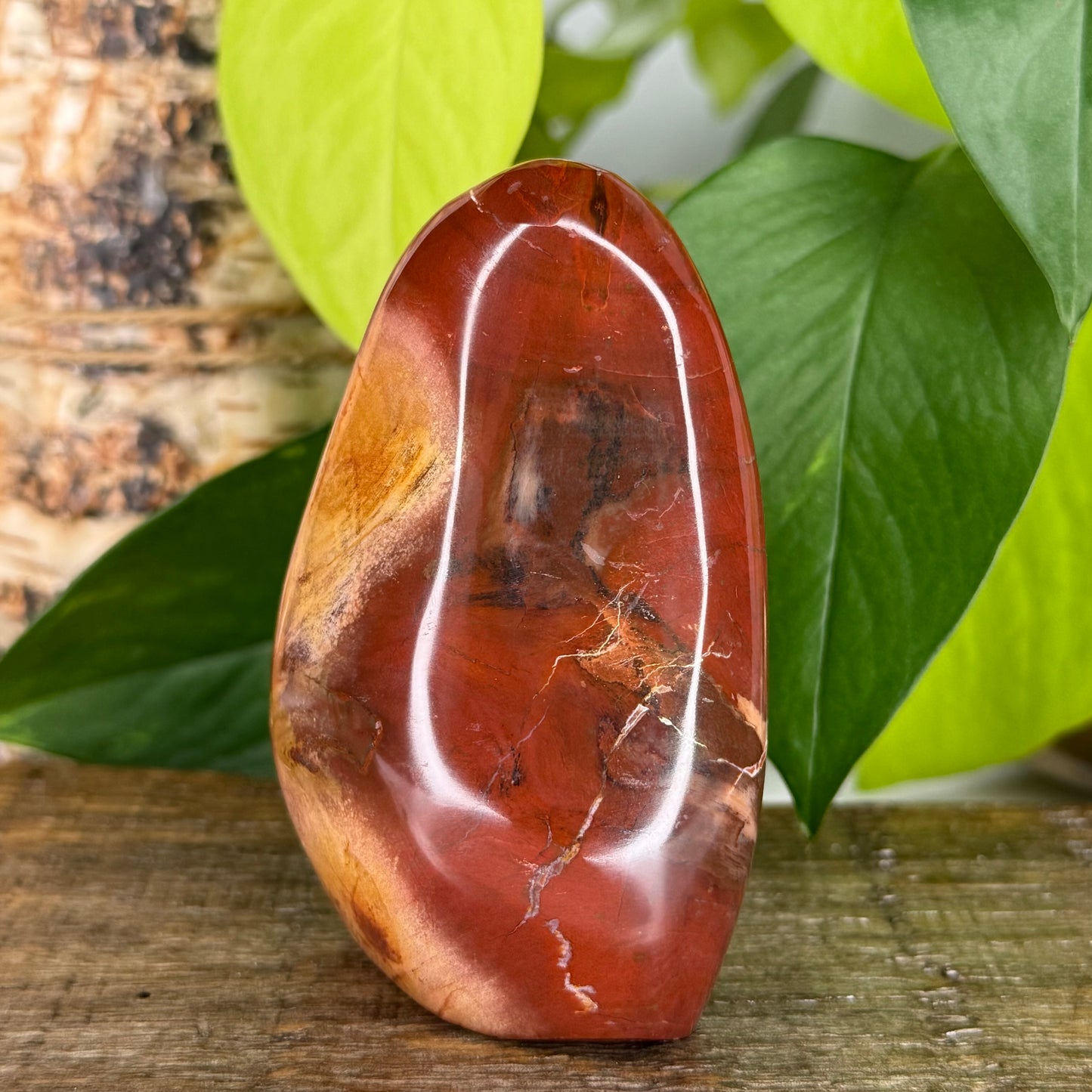 Petrified Wood // Free Form