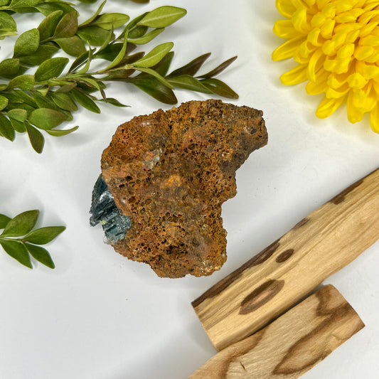 Vivianite // Natural Mineral // In Matrix