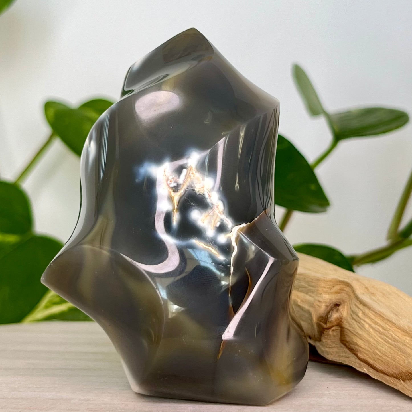 Agate // Blue // Orca // Free Form