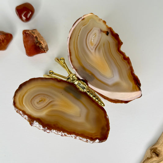 Agate // Butterfly