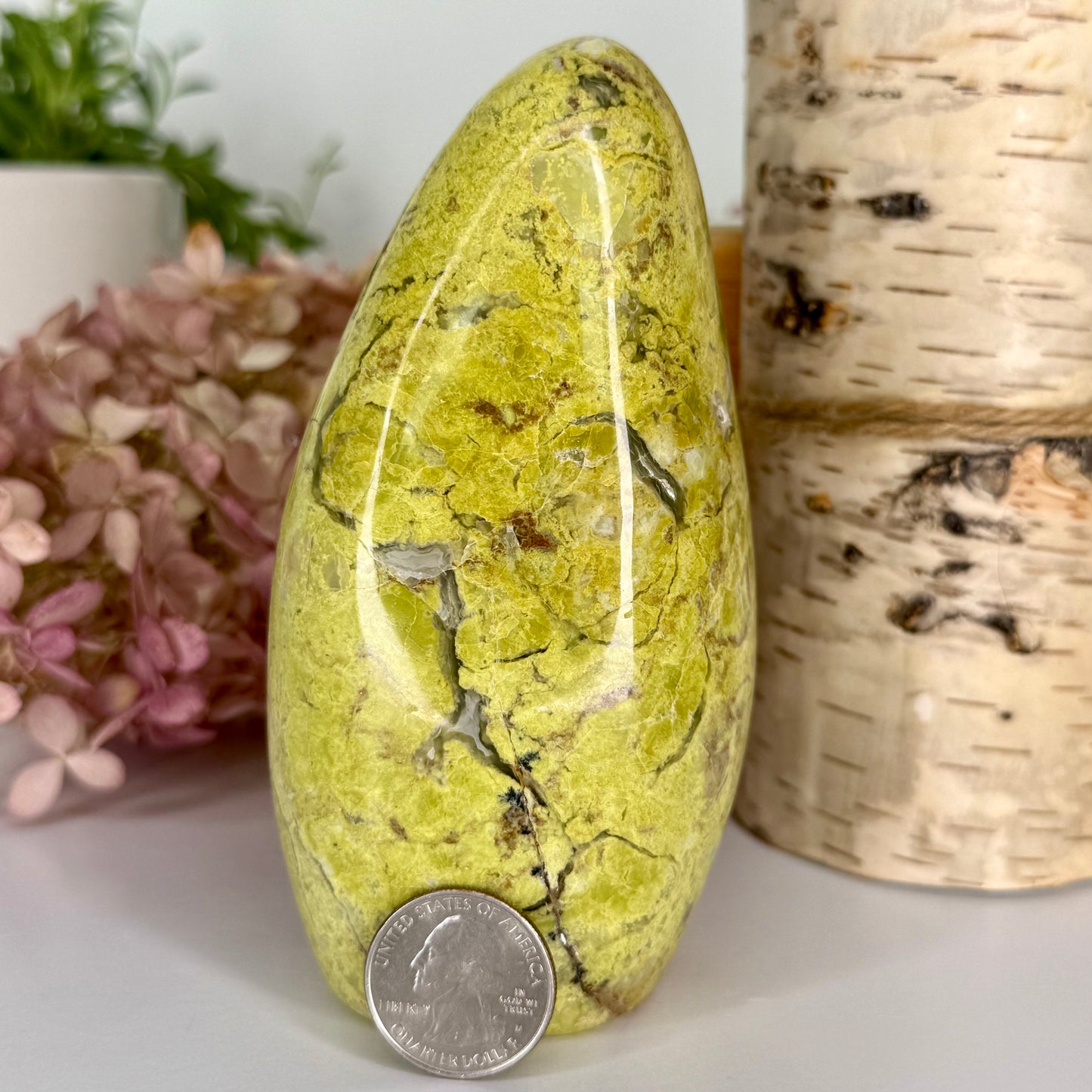 Opal // Green // Free Form