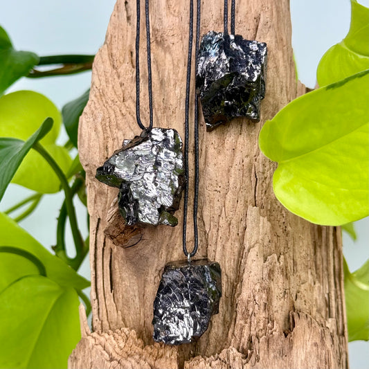 Shungite // Elite Noble // Pendant